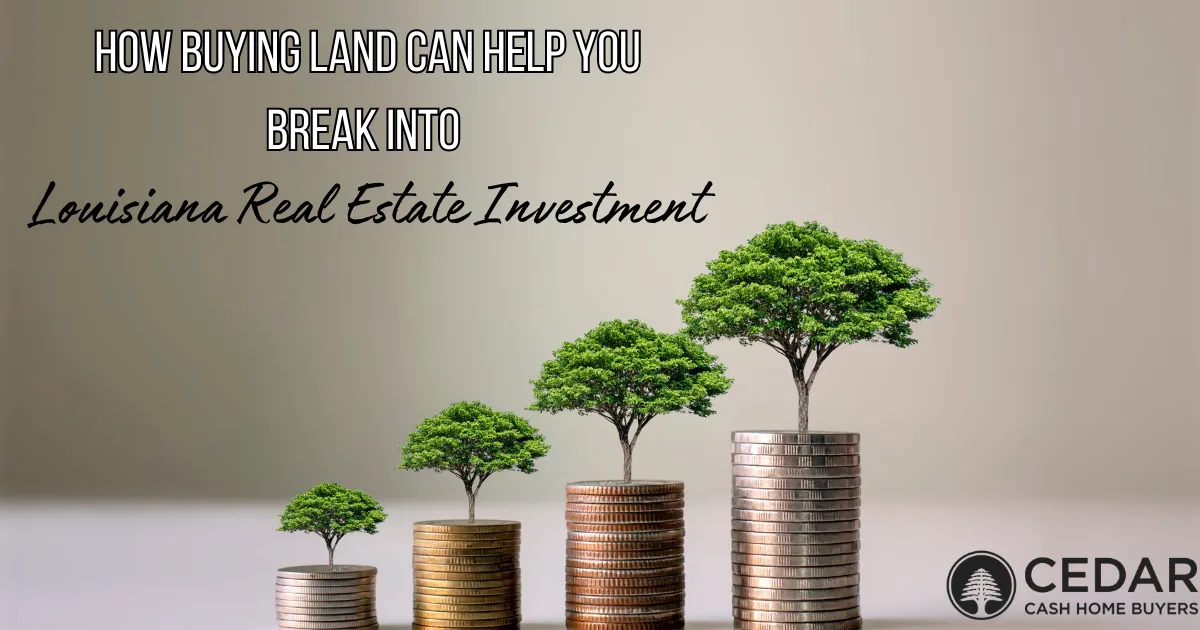 Real Estate Investment