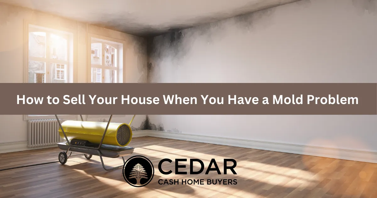 Sell Property With Mold